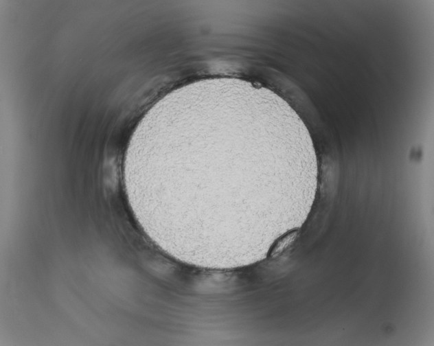 X0000112910329200910051049