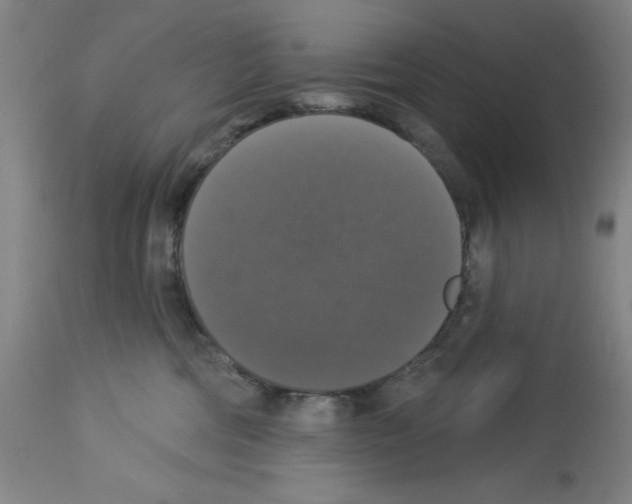 X0000112910330200910051049