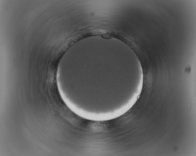 X0000112910331200910051049