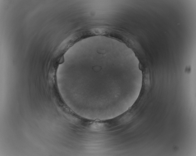 X0000112910332200910051049