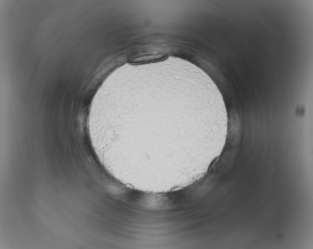X0000112910333200910051049