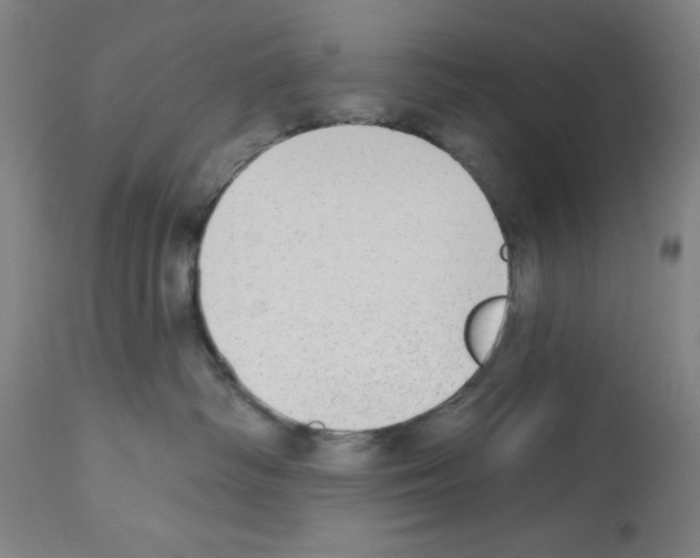 X0000112910334200910051049