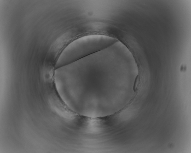 X0000112910336200910051049