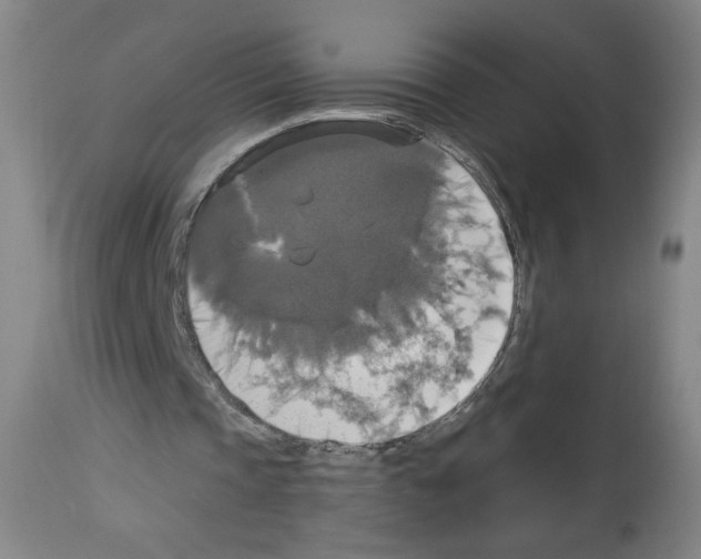 X0000112910337200910051048