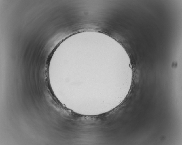 X0000112910338200910051048