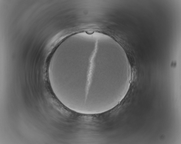 X0000112910339200910051048