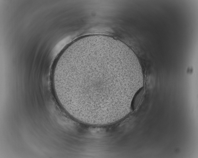 X0000112910340200910051048