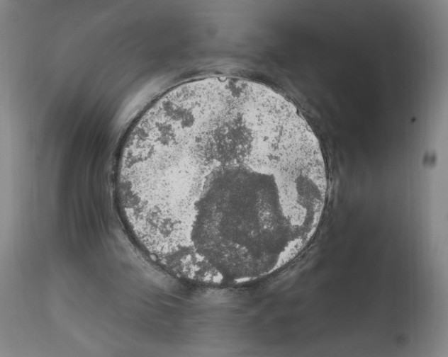 X0000112910341200910051048