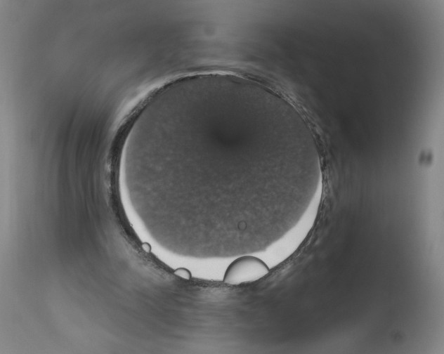 X0000112910342200910051048