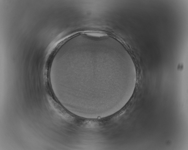 X0000112910343200910051048