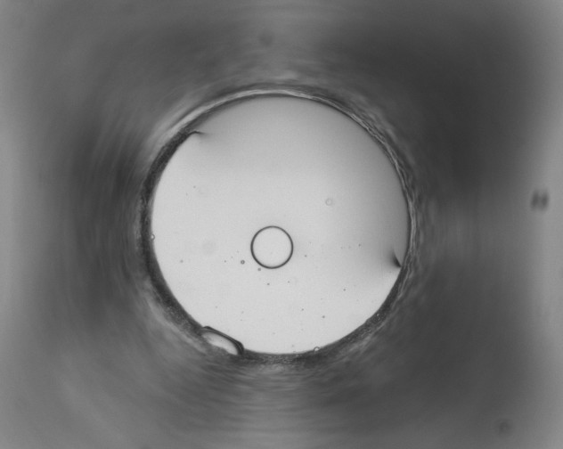 X0000112910344200910051048