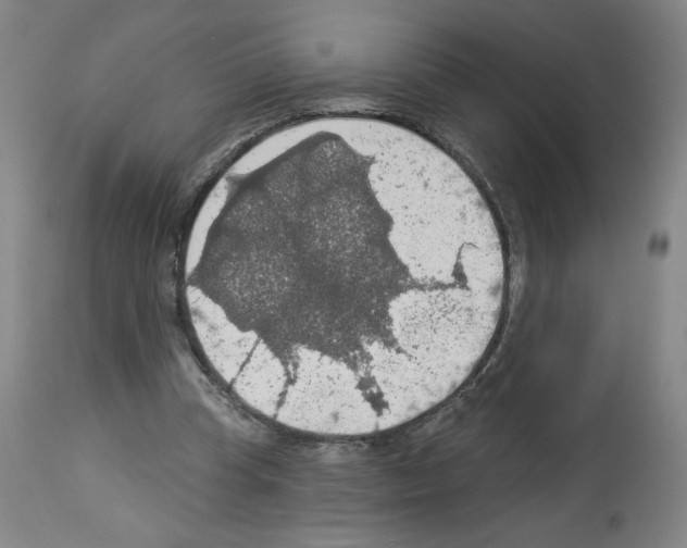 X0000112910345200910051048