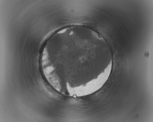 X0000112910346200910051048