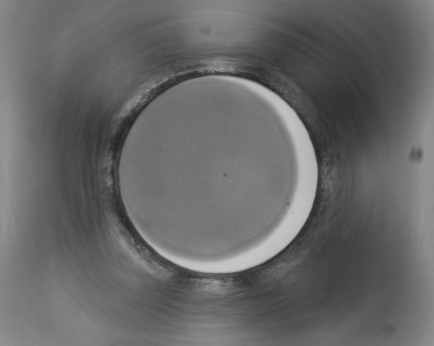 X0000112910347200910051048
