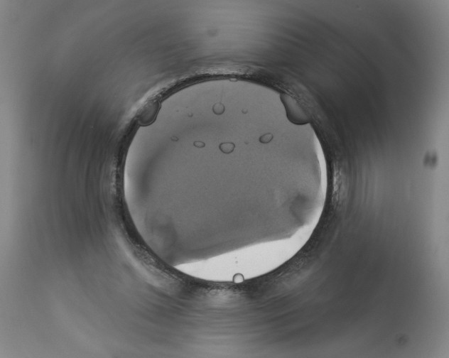 X0000112910348200910051048