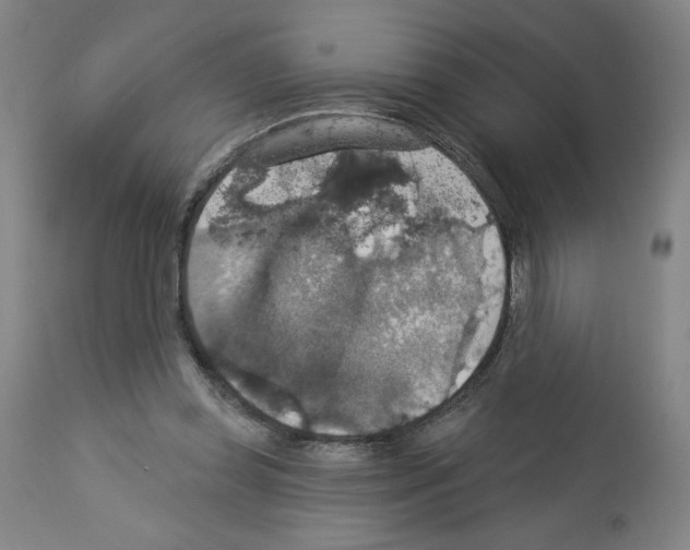 X0000112910349200910051048