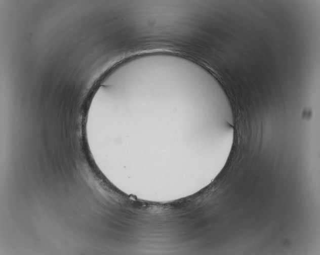 X0000112910350200910051048
