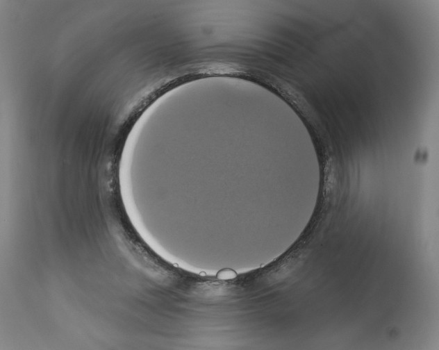 X0000112910351200910051048
