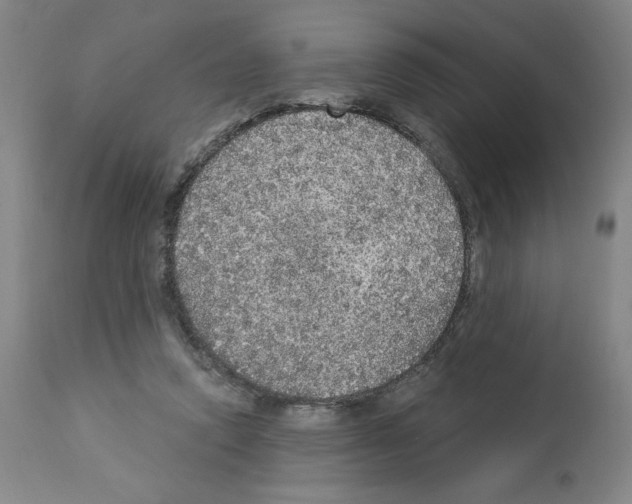 X0000112910354200910051048