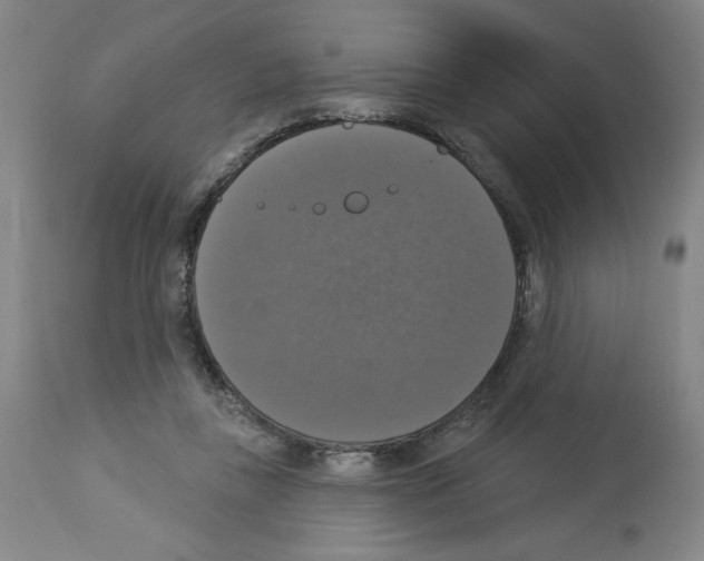 X0000112910355200910051048