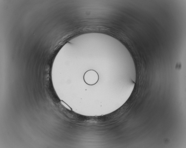 X0000112910356200910051049
