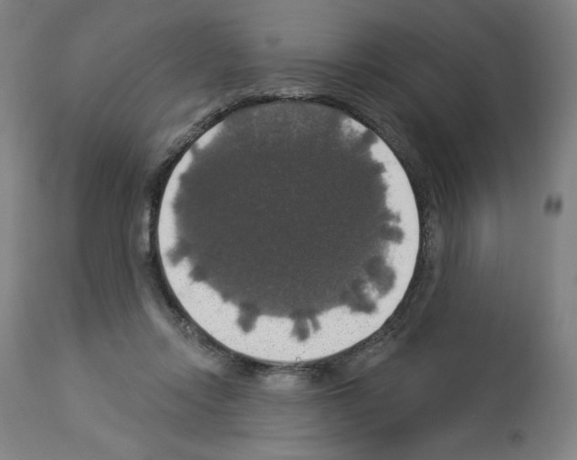 X0000112910358200910051049