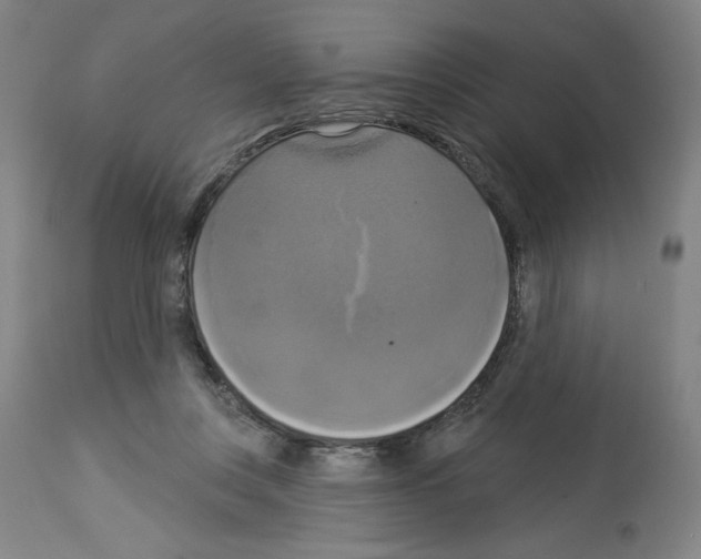 X0000112910359200910051049