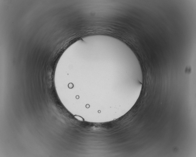 X0000112910360200910051049