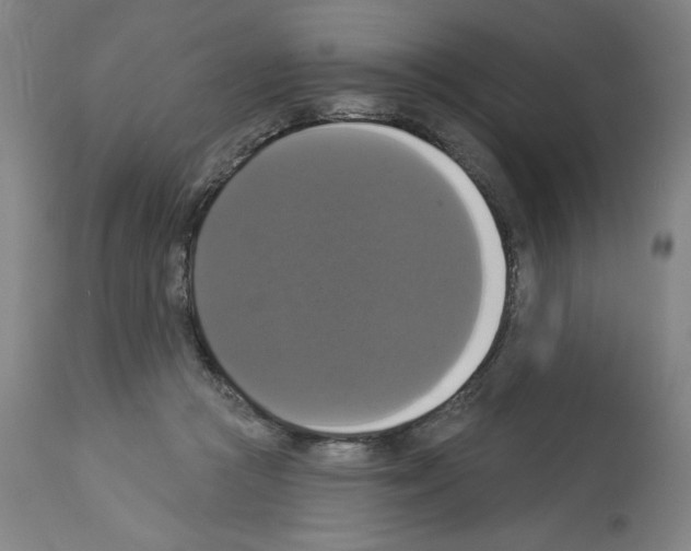 X0000112910361200910051049