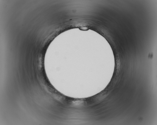 X0000112910362200910051049