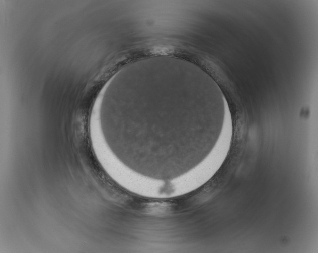 X0000112910363200910051049