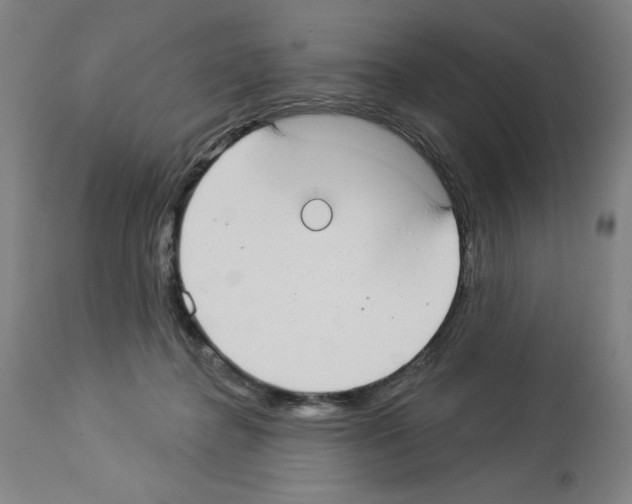 X0000112910364200910051049