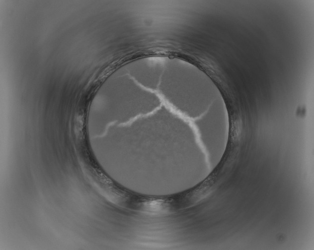 X0000112910365200910051049