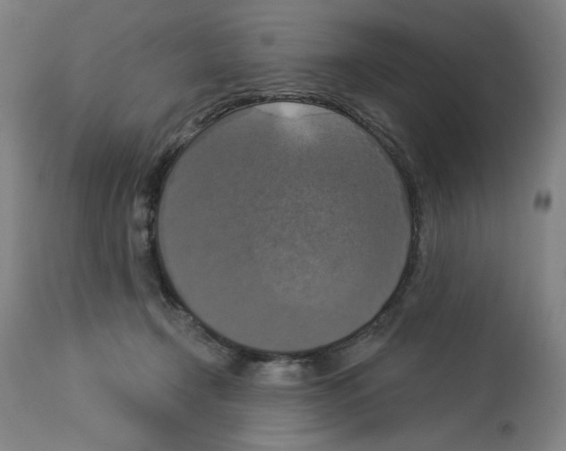 X0000112910366200910051049
