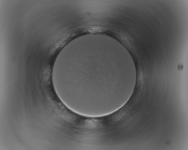 X0000112910367200910051049