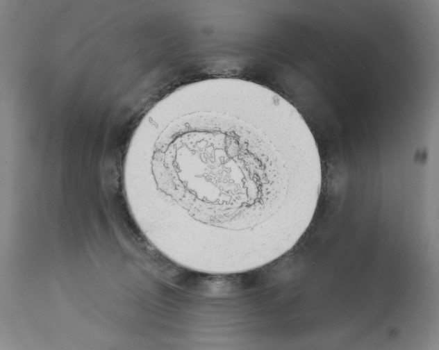 X0000112910370200910051049
