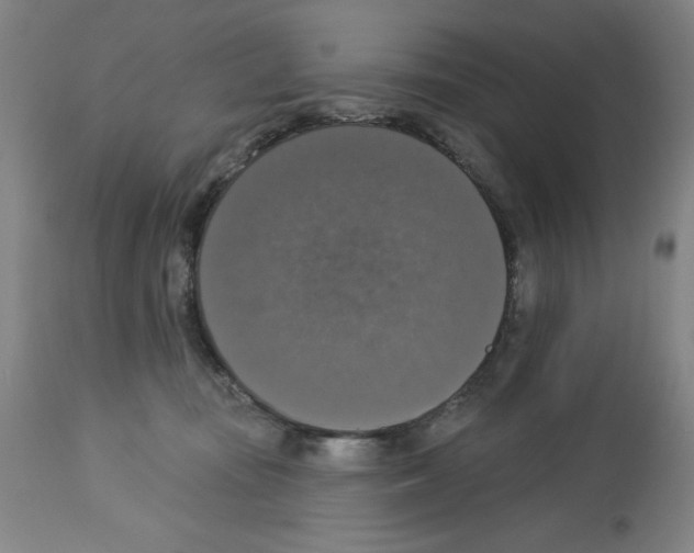 X0000112910371200910051049