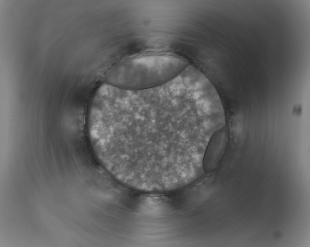 X0000112910372200910051049