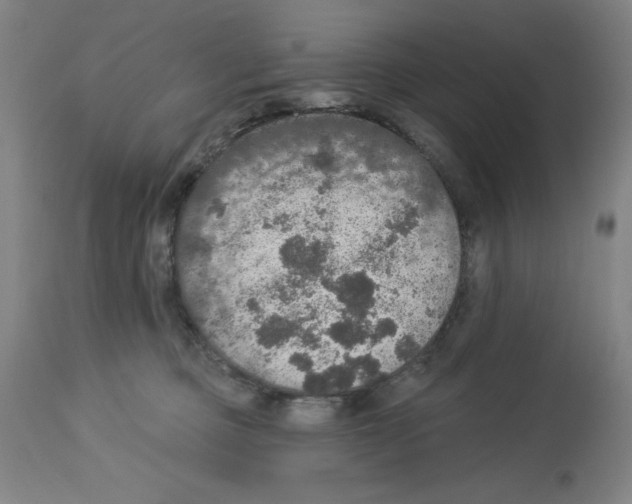 X0000112910373200910051049