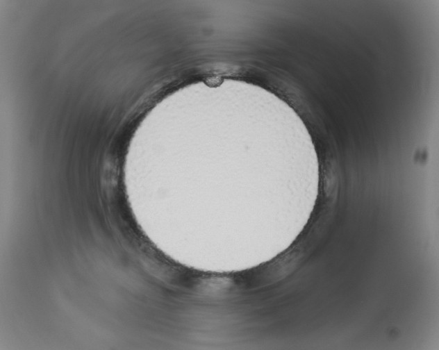 X0000112910374200910051049
