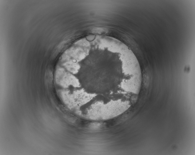 X0000112910375200910051049