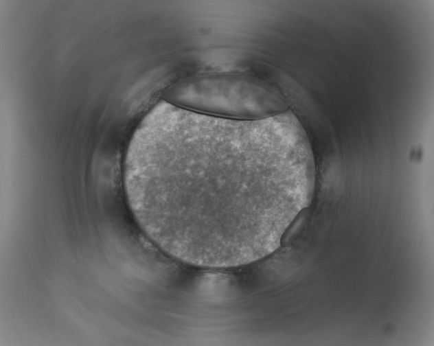 X0000112910376200910051049
