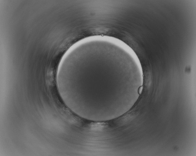 X0000112910378200910051049