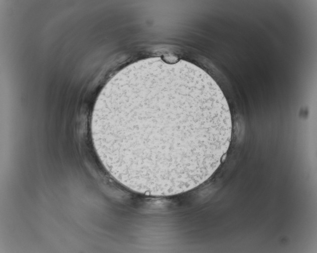X0000112910379200910051049