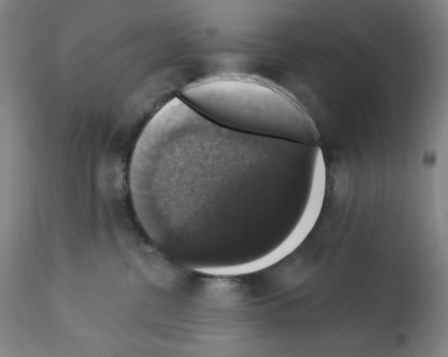 X0000112910380200910051049