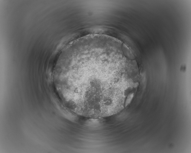 X0000112910381200910051049
