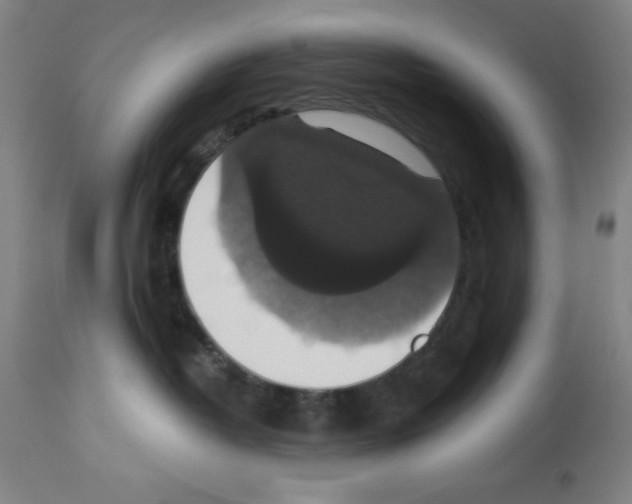 X0000112910382200910051049