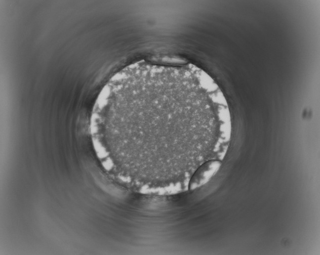 X0000112910384200910051049