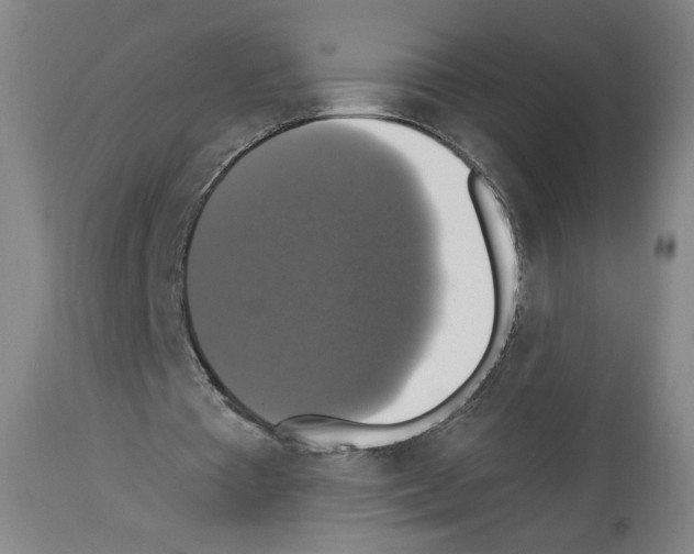 X0000112910385200910051048