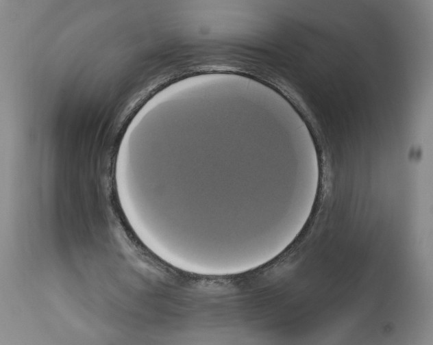 X0000112910386200910051048